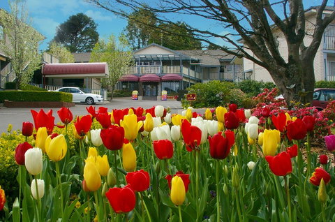 Nesuto Leura Gardens (formerly Waldorf Leura Gardens Resort) - Tourism TAS 0