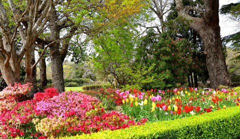 Nesuto Leura Gardens (formerly Waldorf Leura Gardens Resort) - Tourism TAS 8