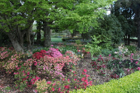 Nesuto Leura Gardens (formerly Waldorf Leura Gardens Resort) - Tourism TAS 2