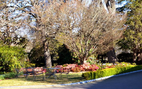 Nesuto Leura Gardens (formerly Waldorf Leura Gardens Resort) - Tourism TAS 7