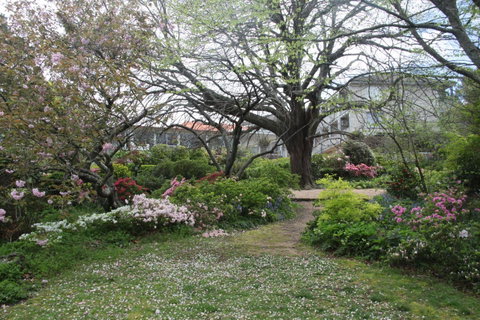 Nesuto Leura Gardens (formerly Waldorf Leura Gardens Resort) - Tourism TAS 4
