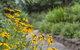 Nesuto Leura Gardens (formerly Waldorf Leura Gardens Resort) - thumb 16