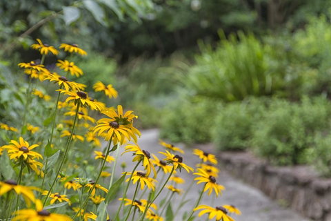 Nesuto Leura Gardens (formerly Waldorf Leura Gardens Resort) - Tourism TAS 16