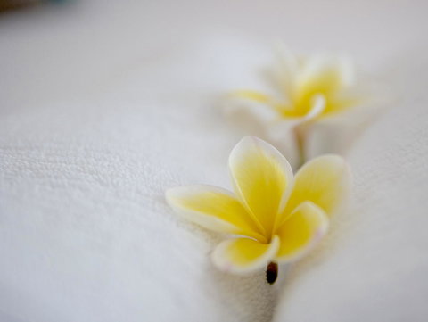 Cossies By The Sea - Tourism TAS 16