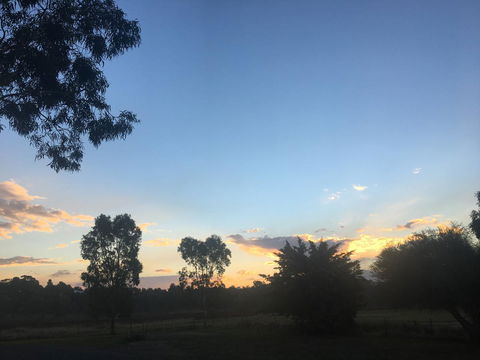 Junee Motor Inn - Tourism TAS 26