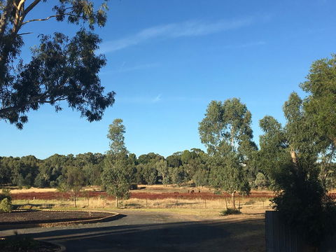 Junee Motor Inn - Tourism TAS 24