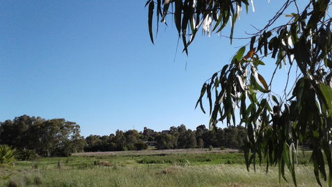 Junee Motor Inn - Tourism TAS 8