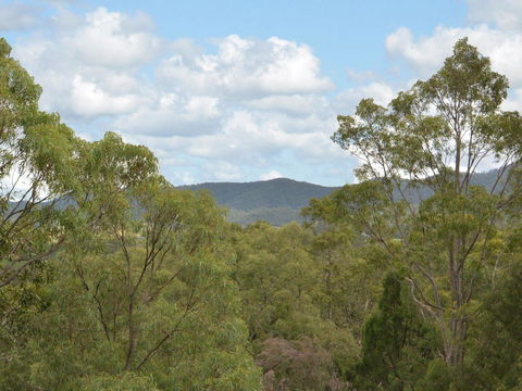 Villa Executive 2br Cypress DS Located Within Cypress Lakes Resort - Hobart Tourism 8