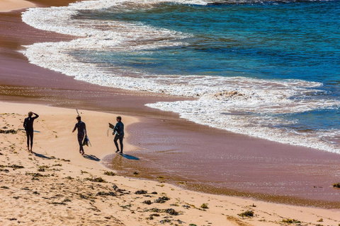Seabreeze @ Mona Vale - Tourism TAS 17