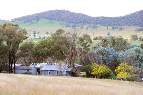 Stay In Mudgee The Grove, The Church, And Premium Private Homestead - Tourism TAS 38
