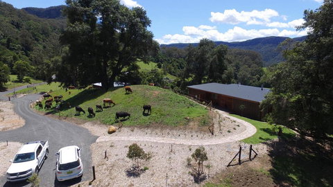 Amaroo Valley Springs - Tourism TAS 19