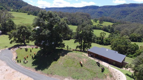 Amaroo Valley Springs - Tourism TAS 18