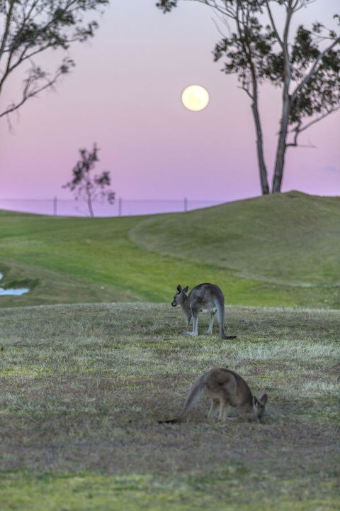 Oaks Cypress Lakes Resort - Hobart Tourism 28