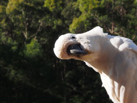 Bundle Hill Cottages - Tourism TAS 1