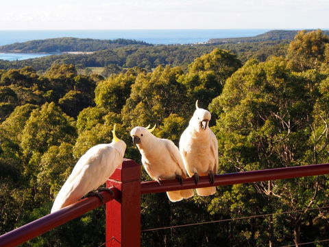 Bundle Hill Cottages - Tourism TAS 2
