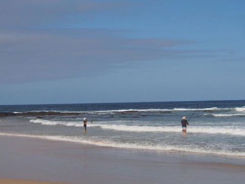 Bundle Hill Cottages - Tourism TAS 10