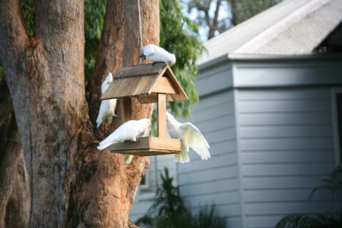 Huskisson Holiday Motel Cabins - Hobart Tourism 29
