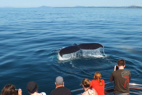 Pacific Marina Apartments - Tourism TAS 34