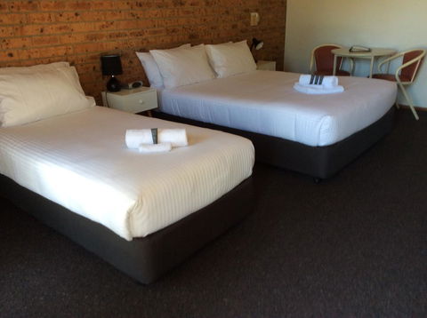 Bega Downs Motor Inn - Tourism TAS 5