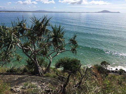 Hat Head Beach Cottage 1 - Tourism TAS 23