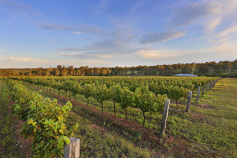 Ironstone Estate Lovedale - Tourism TAS 31