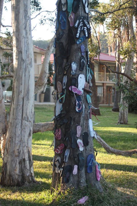Ambience - Hobart Tourism 33