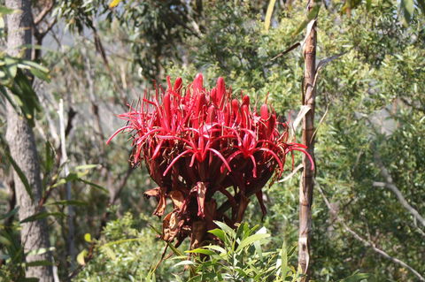 Ambience - Hobart Tourism 30