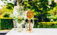 The Lodge Bellingen - thumb 23