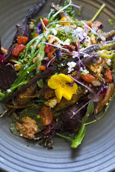 Sage Hotel Wollongong - Tourism TAS 21