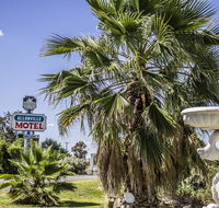 Allonville Gardens Motel - Hobart Tourism