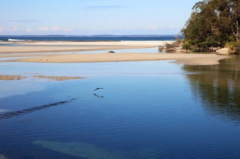 Jervis Bay Beach Shack I Pet Friendly - Hobart Tourism 19