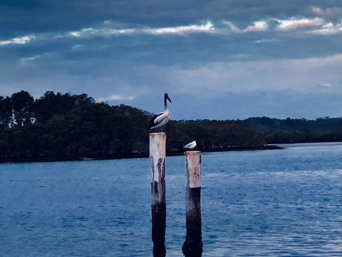 Boathouse Resort (Water Front) - Hobart Tourism 15