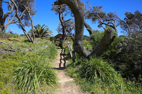 Abode @ Culburra - Pet Friendly - 4 Mins To Beach - Hobart Tourism 25