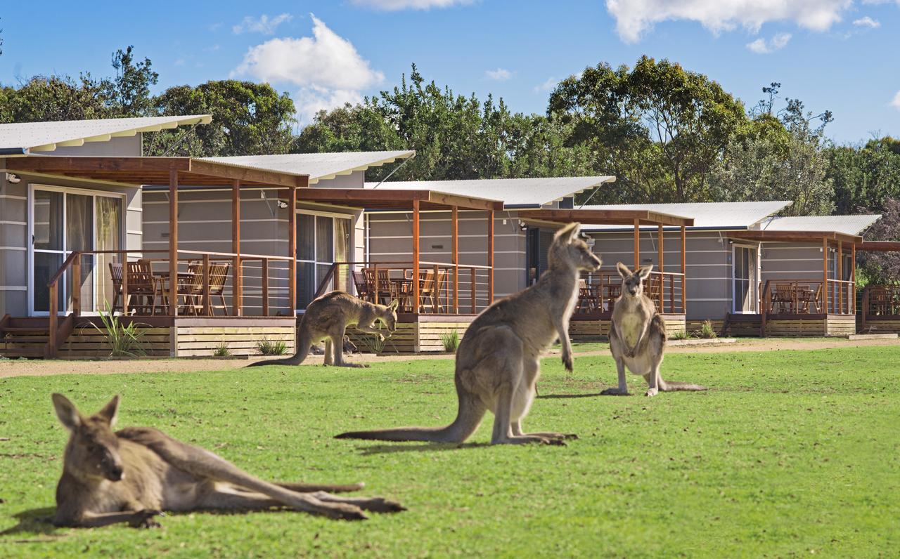  Tourism TAS