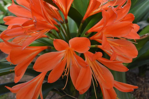 JE Guesthouse, Central To All The Hunter Valley Has To Offer - Hobart Tourism 39