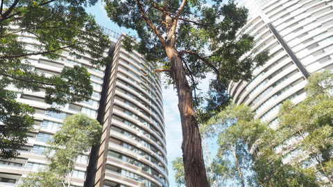 SkyGarden Sydney Olympic Park 3 & 4 Bedroom City View - Hobart Tourism 33