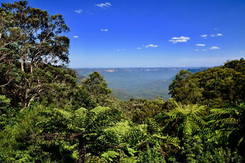 Dangal Gardens - Hobart Tourism 28