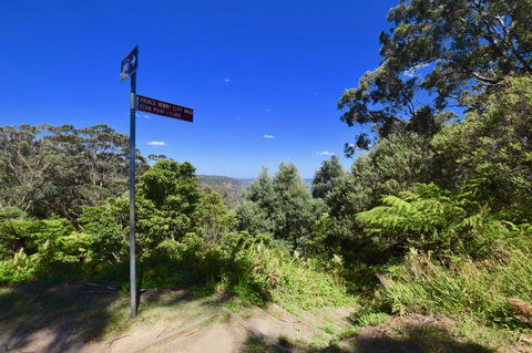 Dangal Gardens - Hobart Tourism 30