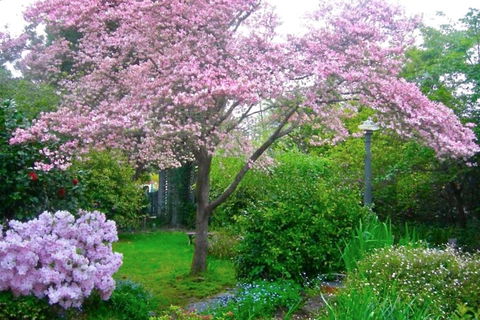 Dangal Gardens - Hobart Tourism 3