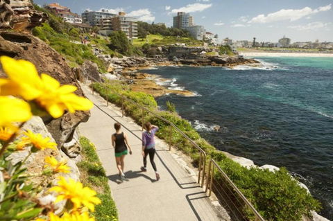 BONDI BEACH PRIME 1 Bedroom + Sunroom - Hobart Tourism 16