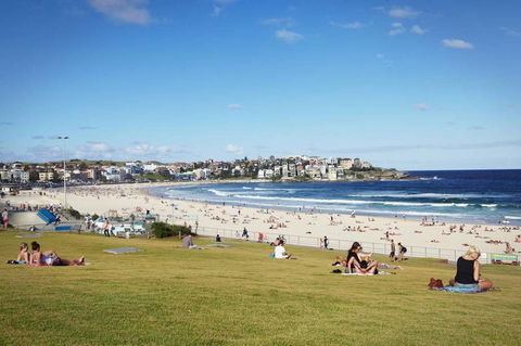 BONDI BEACH PRIME 1 Bedroom + Sunroom - Hobart Tourism 11