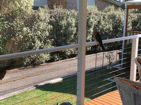 The Best Exotic Magnolia Cottage - Tourism TAS 15