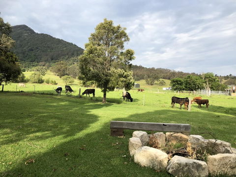 Arcadia - The Barn Cottage & Rosehill Cottage - Hobart Tourism 29