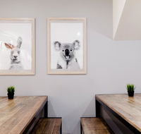 Mad Monkey Backpackers on Broadway - Tourism TAS