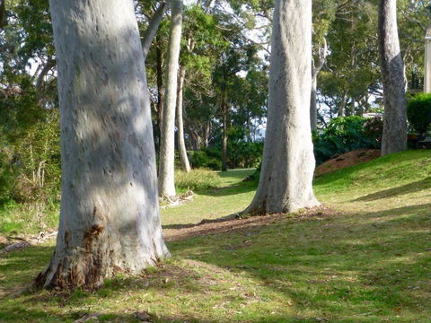 The Retreat At Palm Beach - Tourism TAS 4