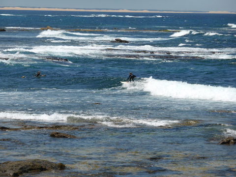 Arena Luxury Beachfront Apartment - Tourism TAS 26