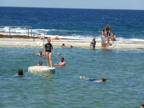 Arena Luxury Beachfront Apartment - Tourism TAS 33