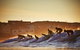 Ocean Views And Sea Breezes Over Bondi Beach - thumb 19