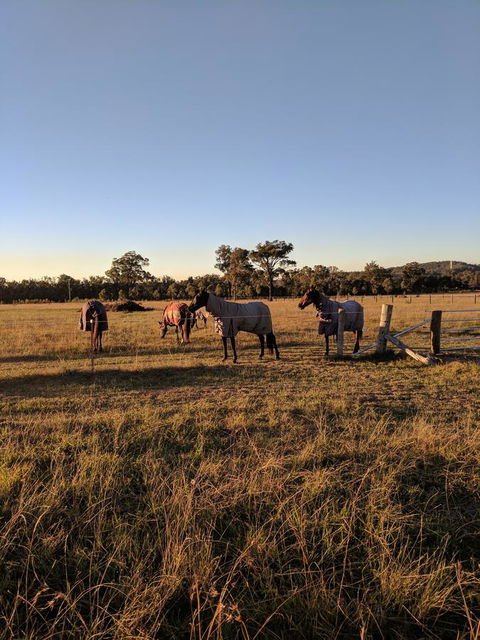 Madigan Wine Country Cottages - Hobart Tourism 8