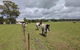 Madigan Wine Country Cottages - thumb 9